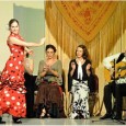 The Triangle Guitar Society (TGS), based in the Raleigh-Durham-Chapel Hill area of North Carolina, will hold its 2012 benefit concert on May 12th. The TGS benefit event will feature Flamenco...