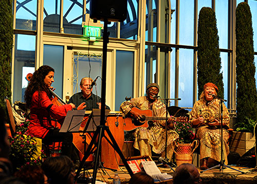 Siama Matuzungidi's-Afrobilly Blue in 2016 at Como Conservatory - Photo by Tom Smith