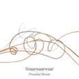 Snaarmaarwaar Phosphor Bronze (Appel Rekords, 2011) Three of the best string instrument performers in Belgium form Snaarmaarwaar. The finely-attuned trio plays primarily contemporary acoustic music rooted in European folk music....