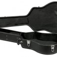 Flying With Musical Instruments Campaign in Europe A new proposal before the European Parliament might finally solve the problems that musicians face when traveling on planes with their instruments. The proposal would revise Air Passenger Rights and...