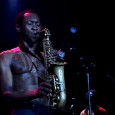 Seun Anikulapo Kuti Is On the Rise Imbued with his late father’s indomitable spirit and emboldened by the inheritance of Fela Anikulapo Kuti’s band and middle name, Oluseun Anikulapo Kuti is poised to take over the mantle...