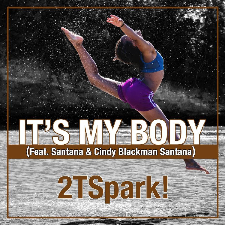 2TSpark on “It’s My Body