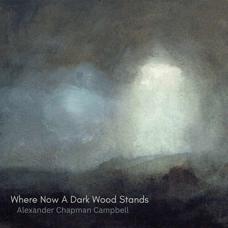Alexander Chapman Campbell and Julie Fowlis - Where Now a Dark Wood cover artwork. Looks like a barren mountain.