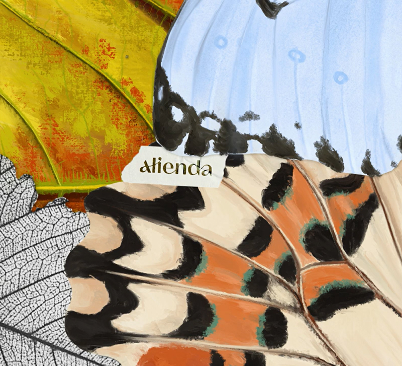 Alienda - Alienda