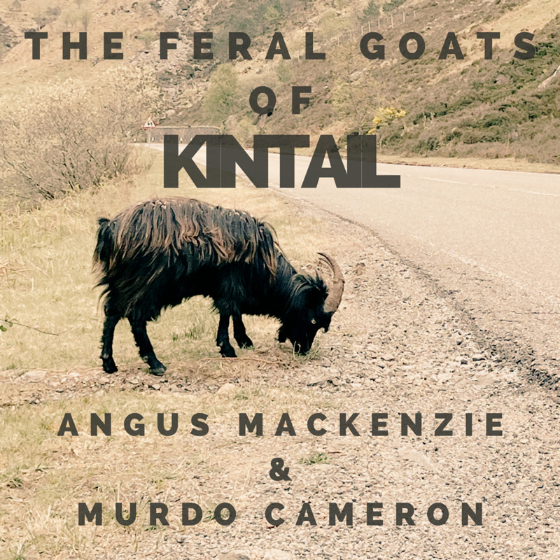 Angus MacKenzie & Murdo Cameron - The Feral Goats Of Kintail cover artwork. a photo of a black goat grazing by a country road.