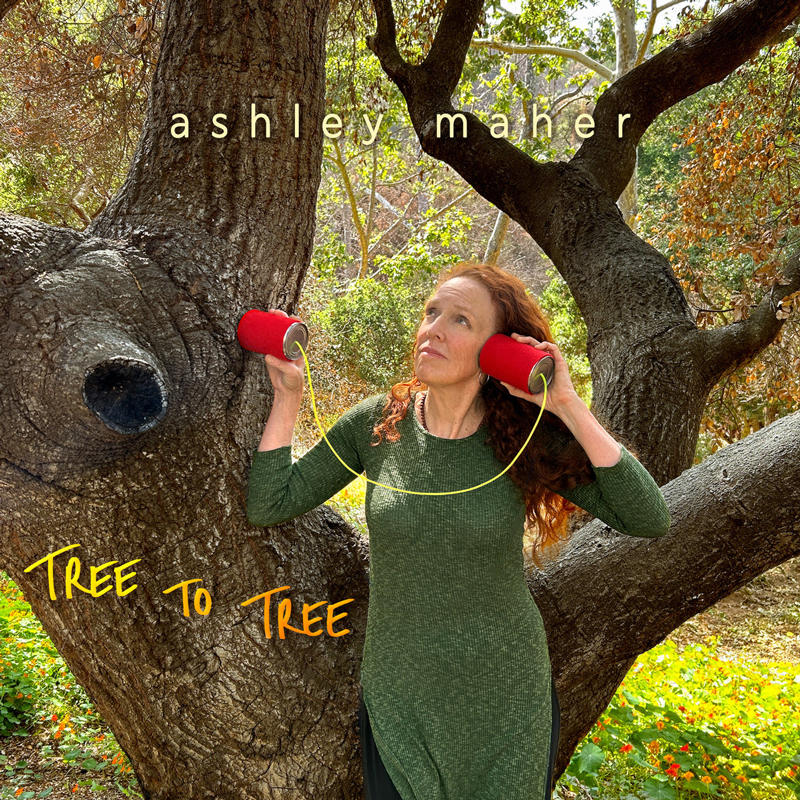 Ashley Maher Tree to Tree cover artwork. Ashley stands between two large tree trunks in a sunlit woodland, holding red cans connected by a string to her ears as if “listening” between the trees.