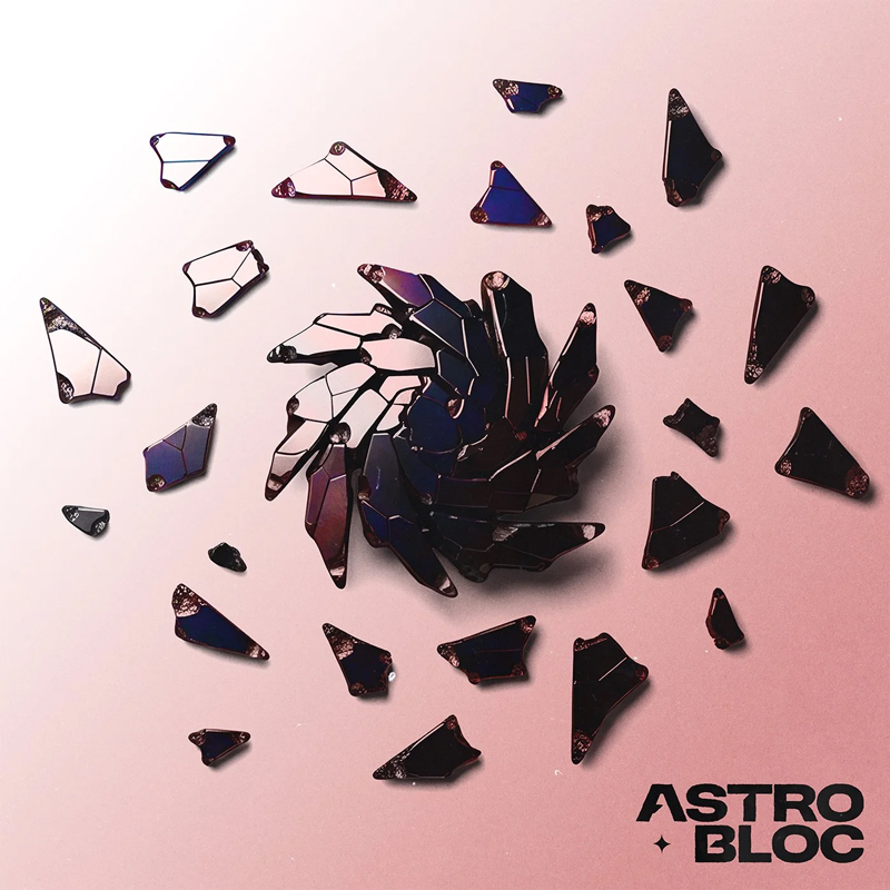 A cover featuring dark, glossy shards scattered across a pink background. At the center, the fragments cluster into a jagged, almost floral or crystalline formation, with thin metallic lines tracing geometric segments.