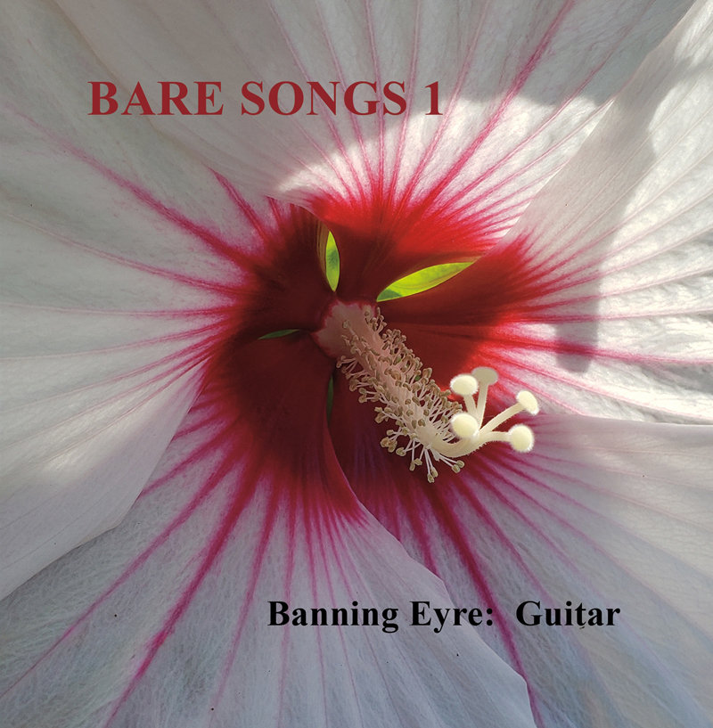 Banning Eyre - Bare Songs Vol. 1 cover artwork. A closeup of the interior of a flower.