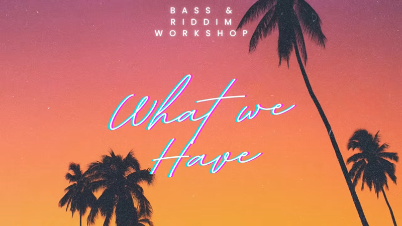 Bass & Riddim Workshop What We Have cover artwork. an image of palm trees over an orange red background.