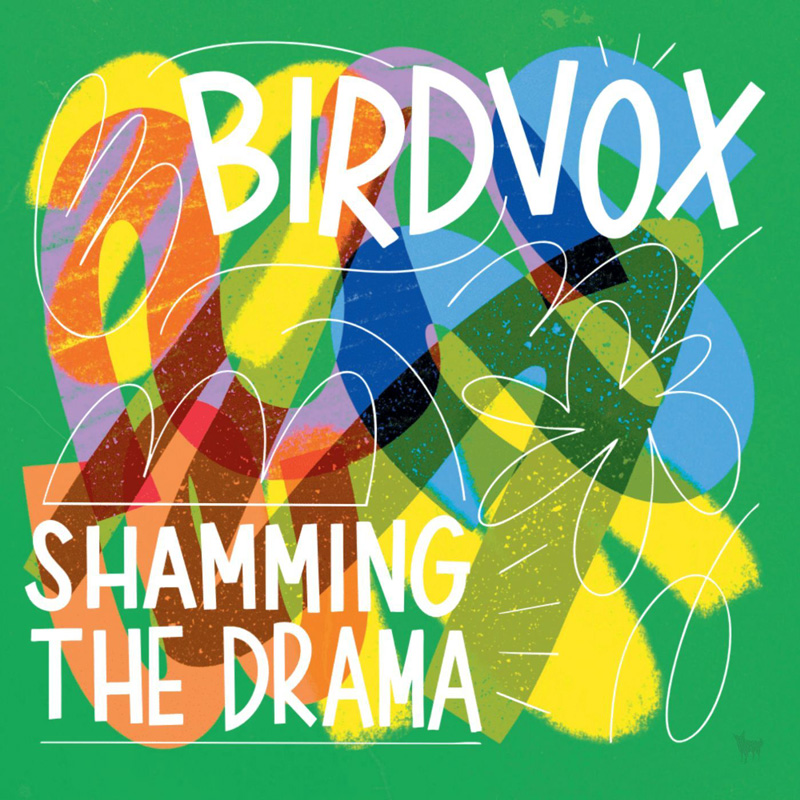Birdvox - Shamming The Drama cover artwork. An abstract album cover with a bright green background, layered multicolored geometric shapes, and white scribbles.