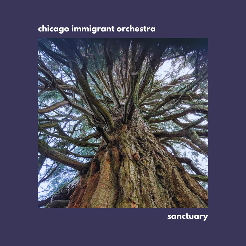 The cover of Sanctuary by the Chicago Immigrant Orchestra features an upward view of a massive tree, its twisting branches stretching toward the sky. Set against a deep purple border.