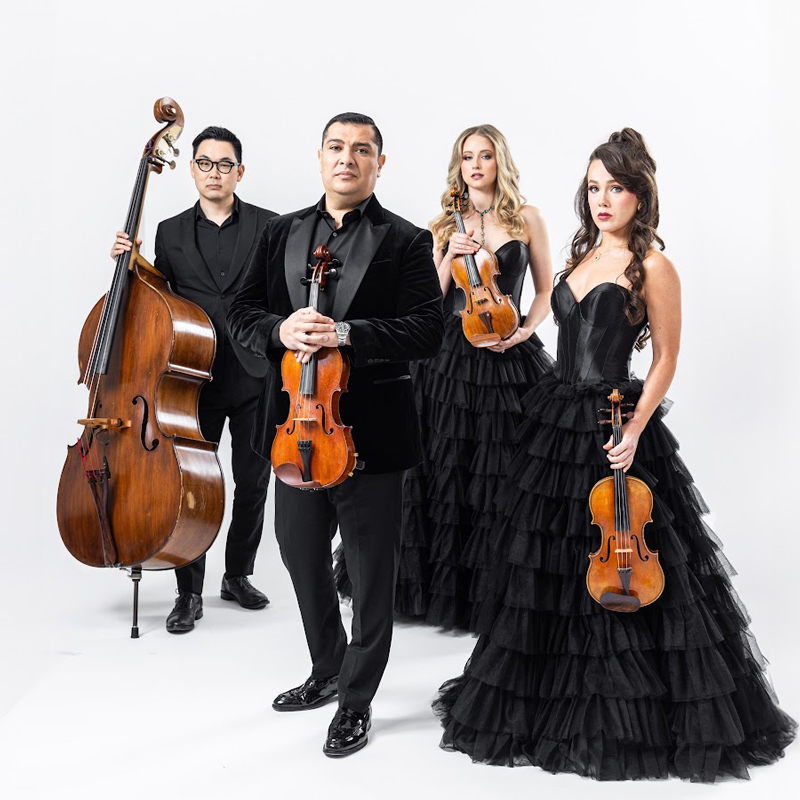Dallas String Quartet. Studio portrait of the quartet wearing formal clothes. Two men n black suits and two women in black dresses.