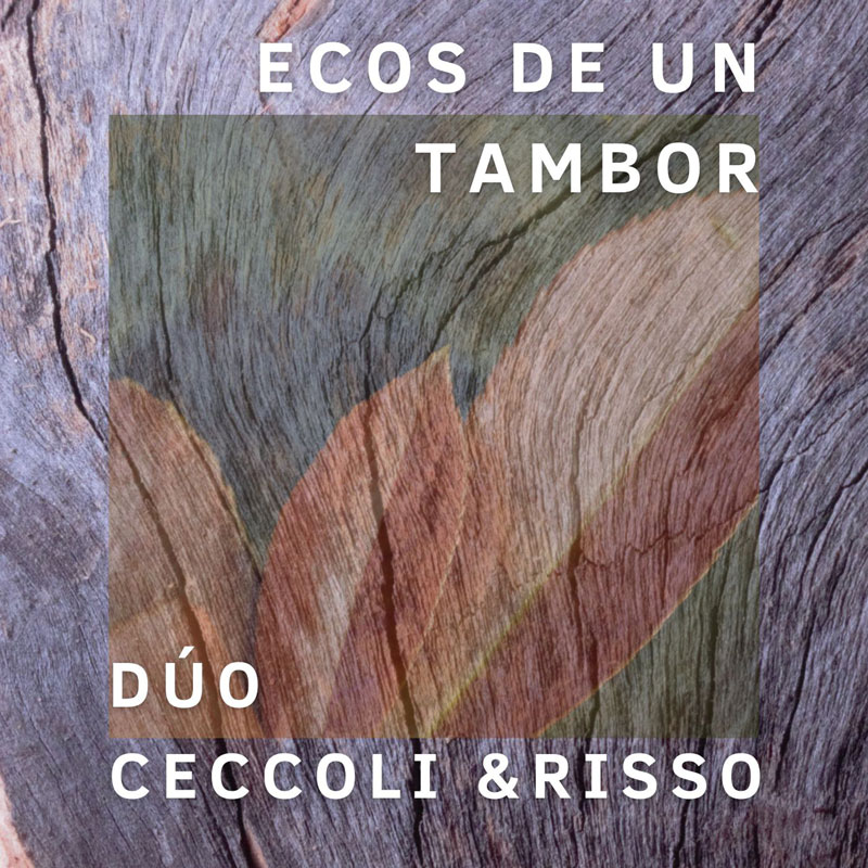 Ceccoli & Risso - Ecos de un Tambor cover artwork. An illustration of upright leaves.