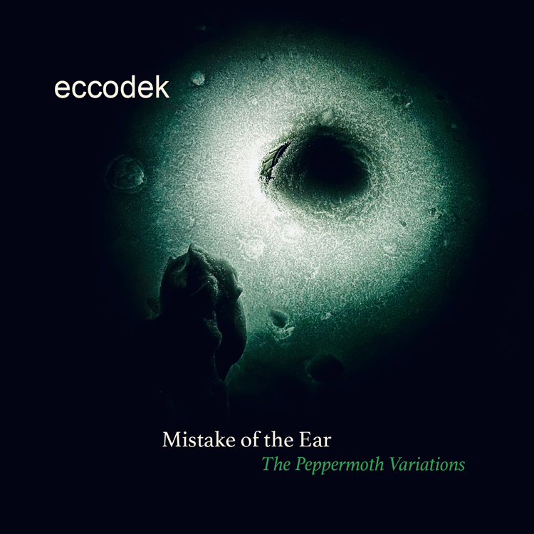 Eccodek - Mistake of the Ear cover artwork