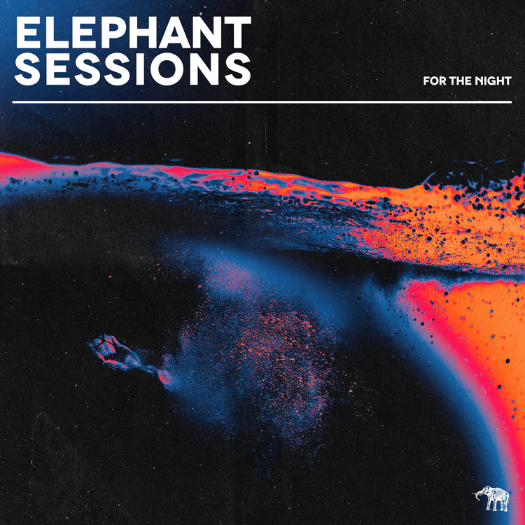 Cover of the album For The Night by Elephant Sessions