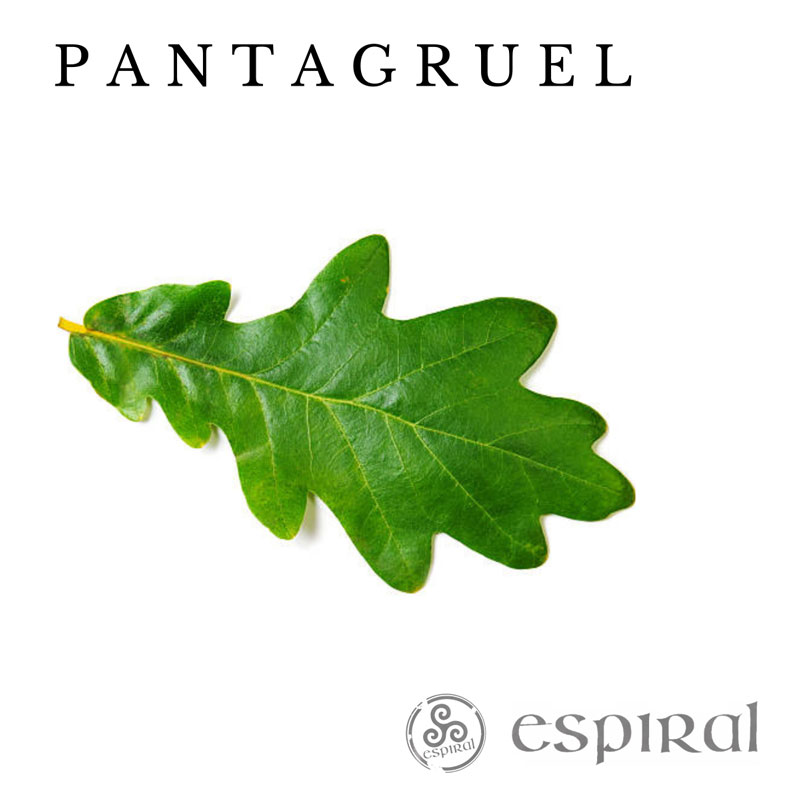 Espiral - Pantagruel cover artwork. A green leaf in the middle.