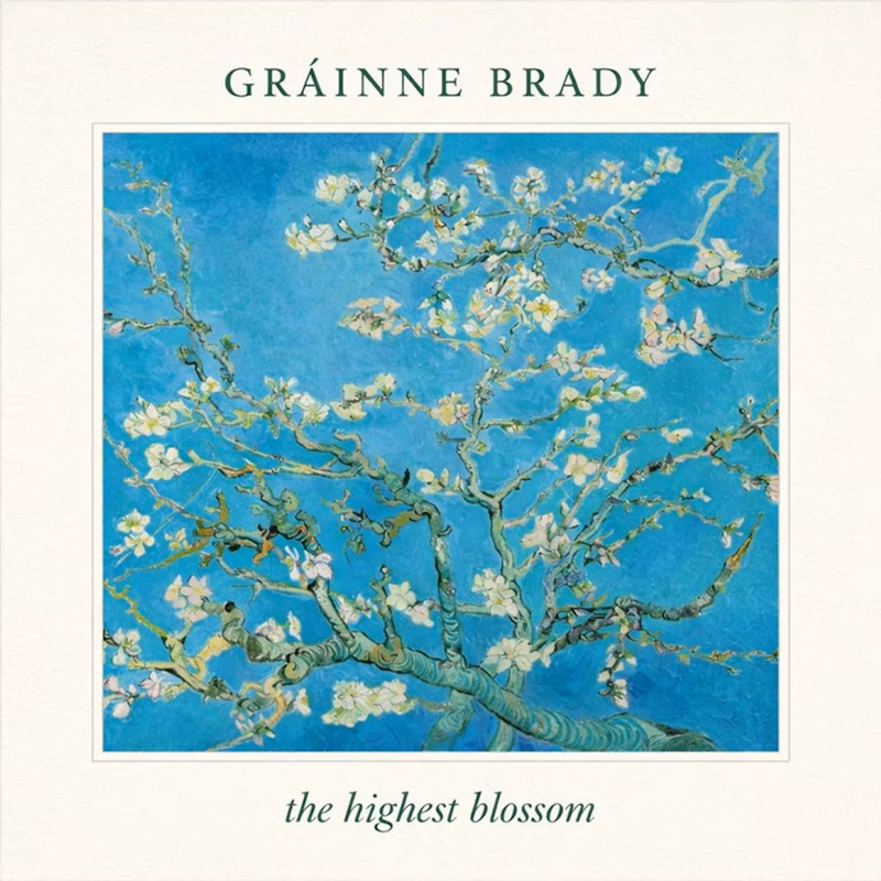 Gráinne Brady The Highest Blossom cover artwork. Tree branches with flowers.