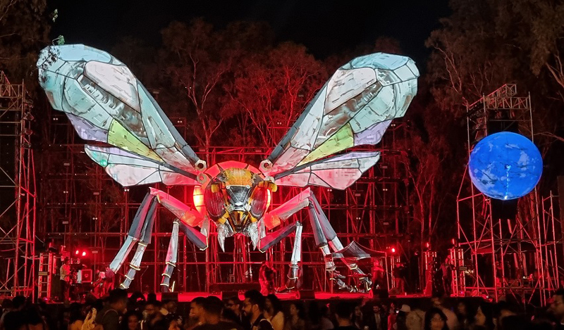 Echoes of Earth festival, 2024, Greater One-Horned Stage. Nighttime photo.