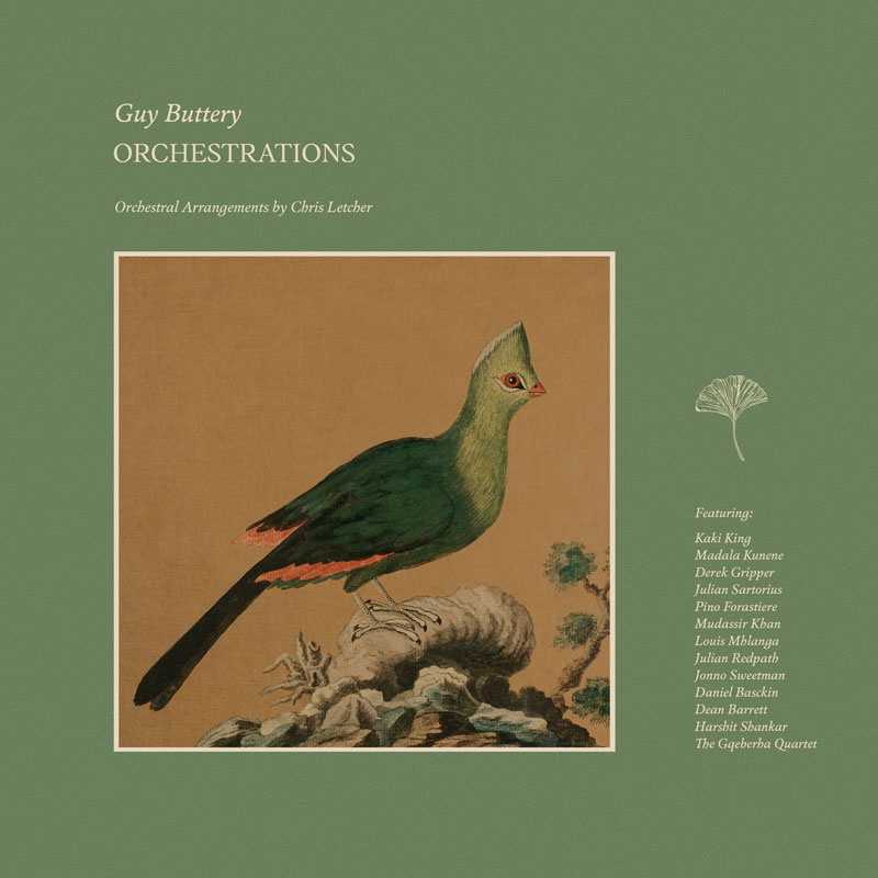 The album cover for Orchestrations by Guy Buttery features a minimalistic design with a muted green background. At its center is a vintage-style illustration of a bird perched on a rocky outcrop, characterized by vibrant green plumage with subtle red accents. The title and credits are displayed in elegant serif fonts, with contributors listed on the right. A small ginkgo leaf illustration adds a delicate botanical touch.