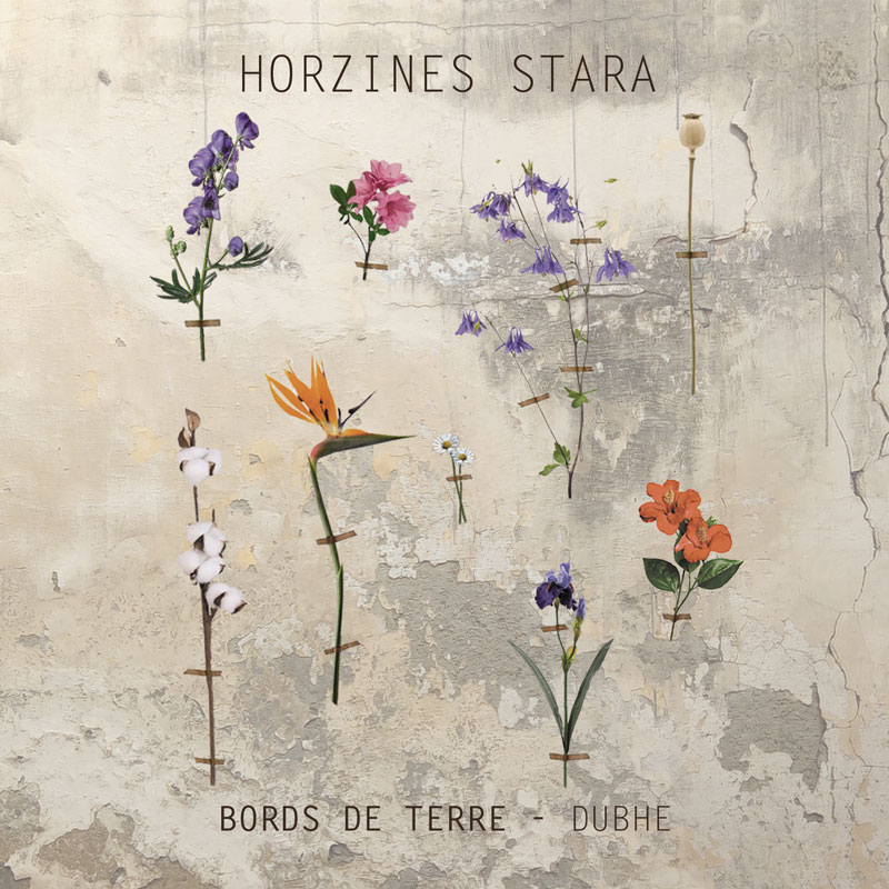 The album cover for Bords de Terre – Dubhe by Horzines Stara features delicate, colorful flowers taped to a weathered, cracked plaster wall. The band name and album title appear in simple, uppercase sans-serif type.