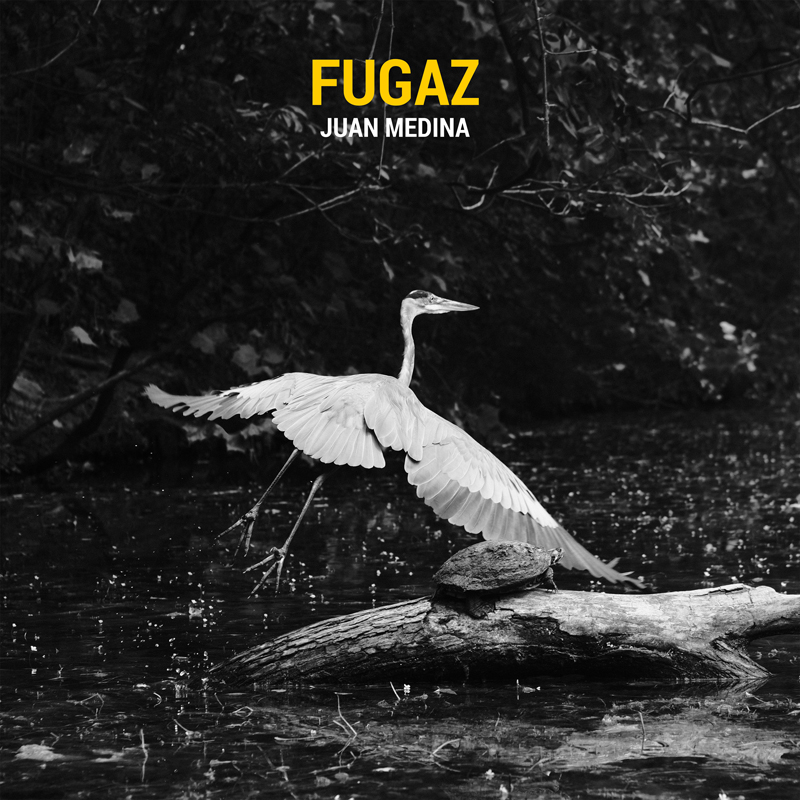 The album cover for Fugaz by Juan Medina features a black-and-white photograph of a heron mid-flight above a forest stream, with a turtle resting on a log in the foreground. The title appears in bold yellow, while the artist's name is rendered in white, both set against the dark foliage for sharp contrast.