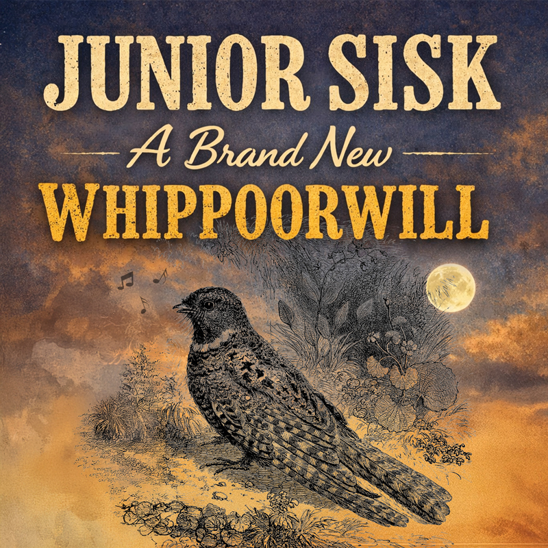 Junior Sisk - A Brand New Whippoorwill cover artwork. An illustration of a bird.