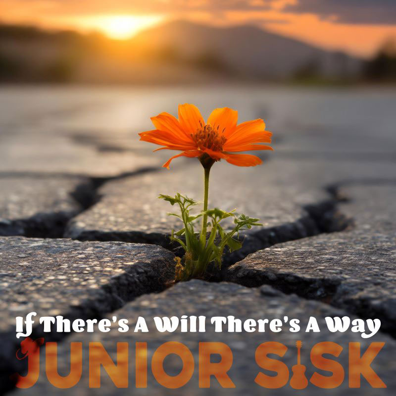 Junior Sisk If There's a Will There's a Way cover artwork. a cracked pavement with an orange flower through a crack.