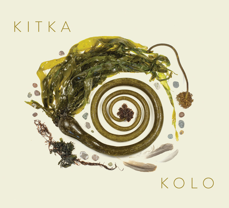 An arrangement of seaweed, shells, stones, feathers, and other natural objects on a pale cream background. A coiled, spiral-shaped piece of kelp dominates the center, with “KITKA” and “KOLO” printed in thin gold lettering at opposite corners.