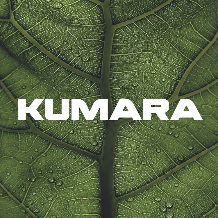 Kumara - Kumara artwork