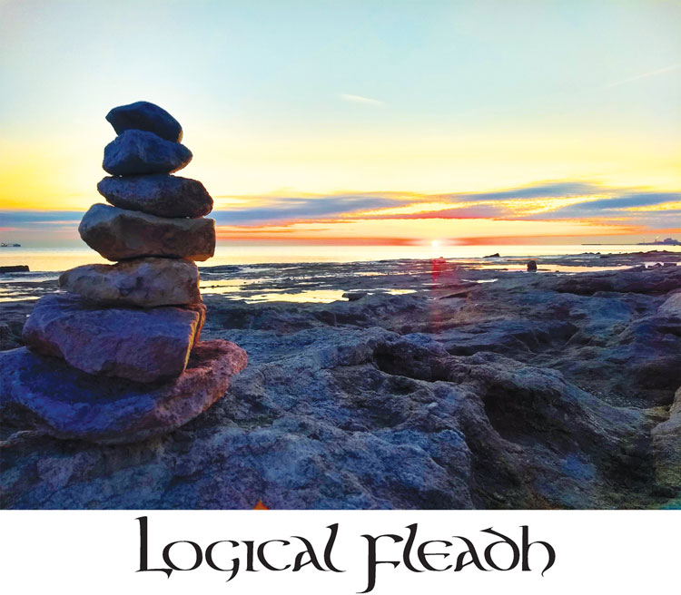 Logical Fleadh - Logical Fleadh