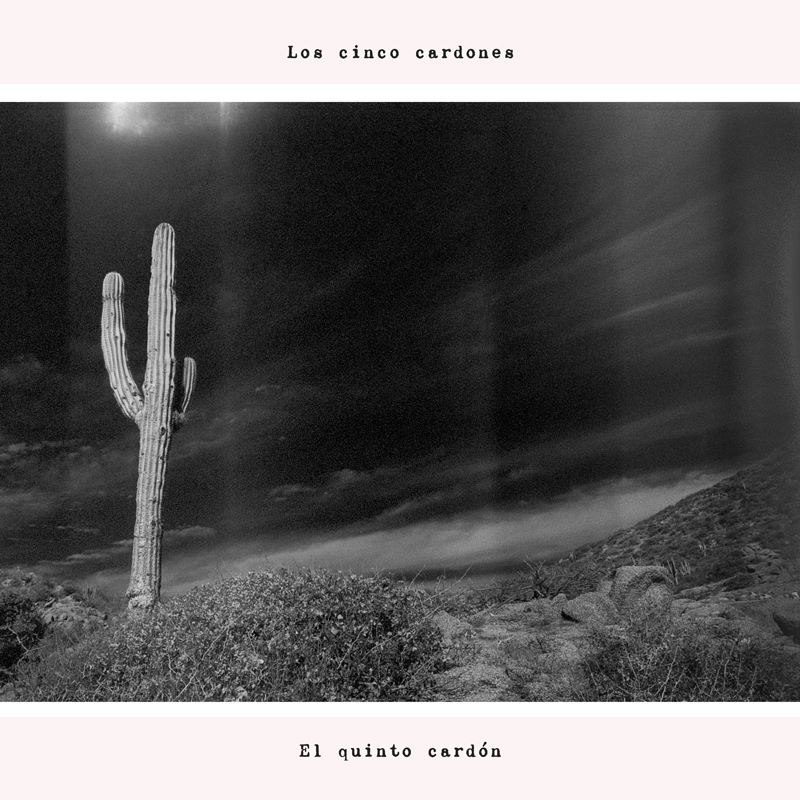 Los Cinco Cardones - El Quinto Cardón cover artwork. A black and white photo of a saguaro cactus.