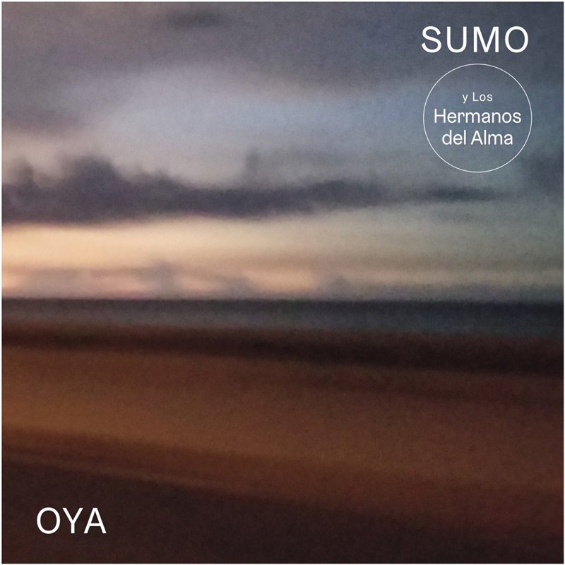 Rumbadub by Los Hermanos del Alma. Cover of the Oya album. a blurry landscape photo of a sandy beach.