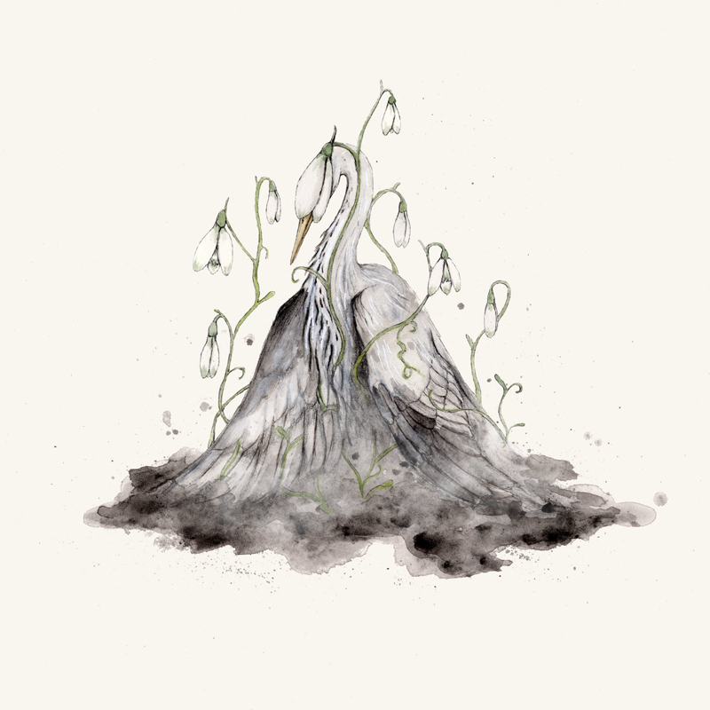 Lucie Hendry Ashes cover artwork. An illustration of a swan or heron and green sprouts growing from a pile of ashes.