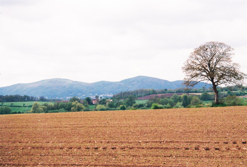a farm field and Malv Hills in the distance