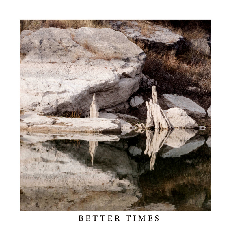 An album cover featuring pale limestone boulders beside still water, with weathered tree stumps rising from the shoreline and reflected in the dark surface below.