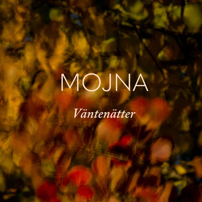 Mojna - Väntenätter cover artwork. An abstract design.