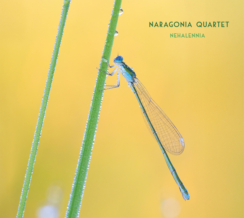 Naragonia Quartet – Nehalennia cover artwork. A yellow cover with a dragonfly landing on a branch.
