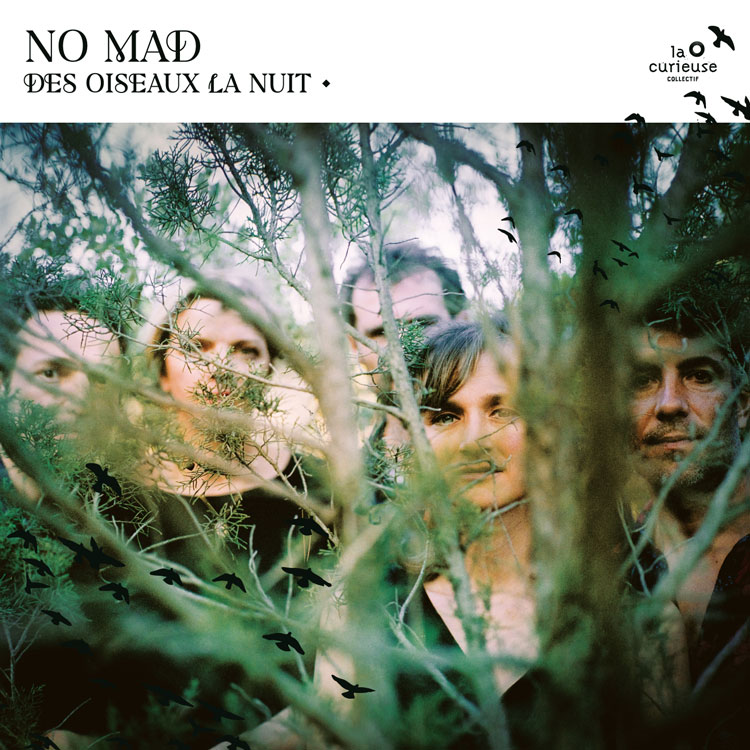 No Mad - Des Oiseaux la nuit album cover