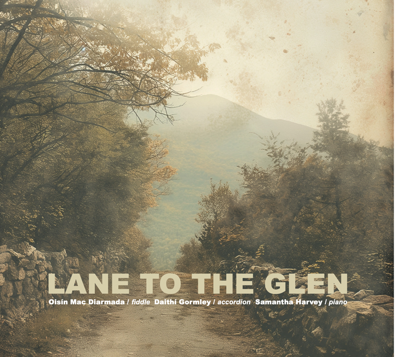 Oisín Mac Diarmada - Lane to the Glen cover artwork. A misty photo of a pat through woods.