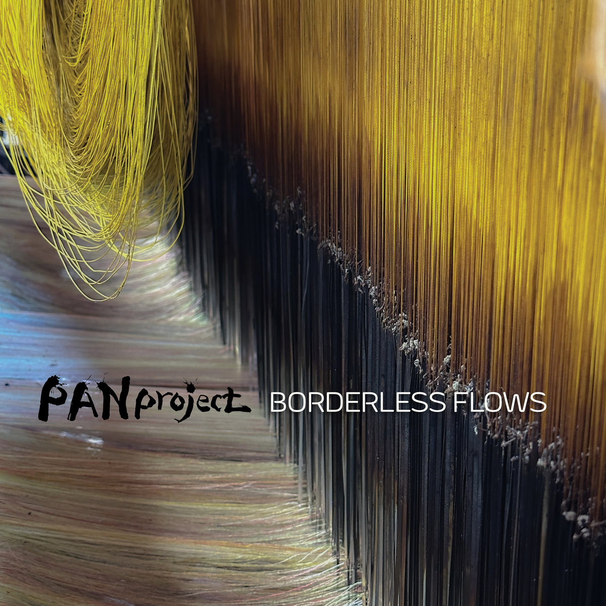 PAN Project Ensemble - Borderless Flows cover artwork. A photo of silk threads.