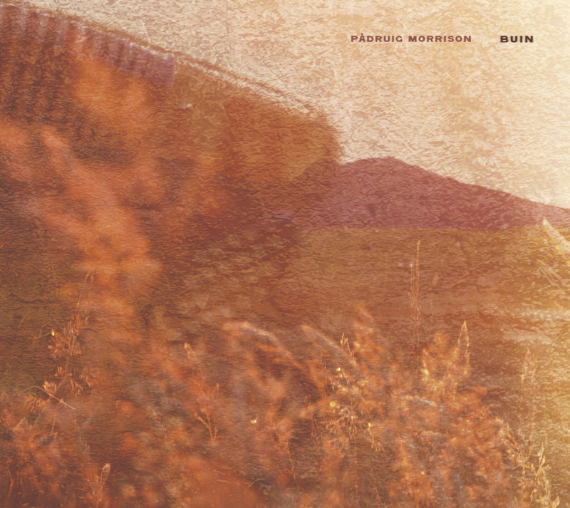 Buin Pàdruig Morrison cover artwork. An orange filtered design. Possibly blurred plants.