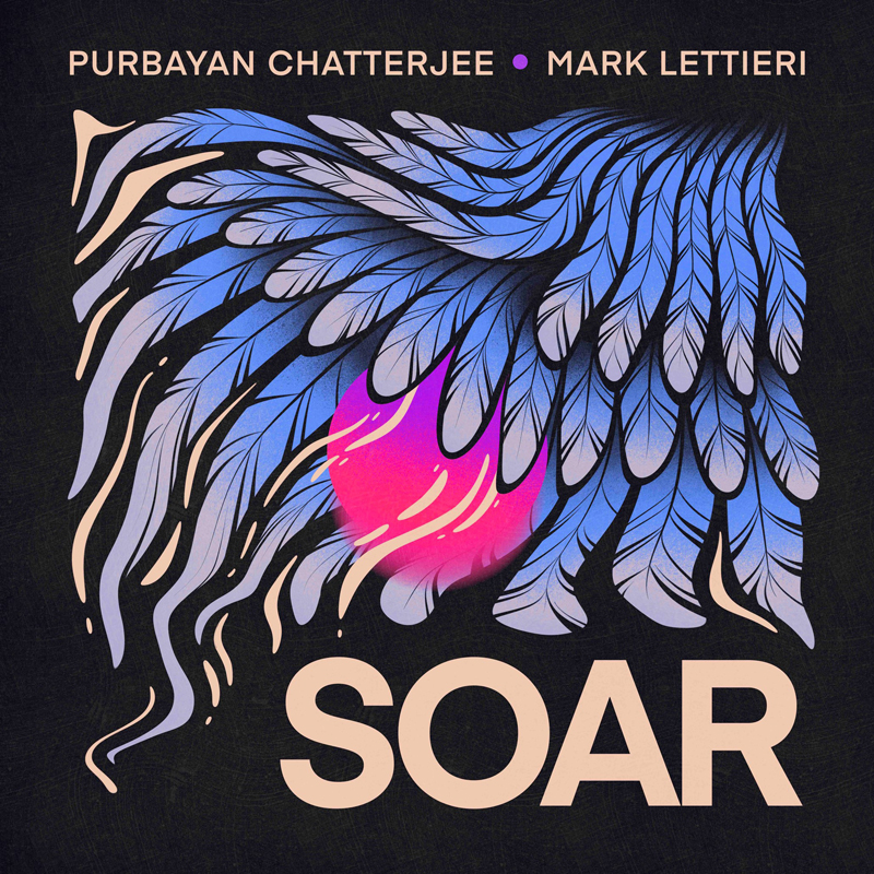 Purbayan Chatterjee & Mark Lettieri Soar cover artwork. An illustration of bird feathers.