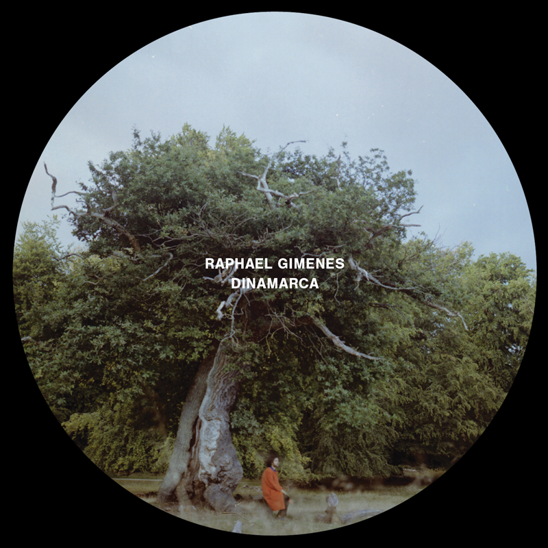 Raphael Gimenes - Dinamarca cover artwork. a photo of some trees.