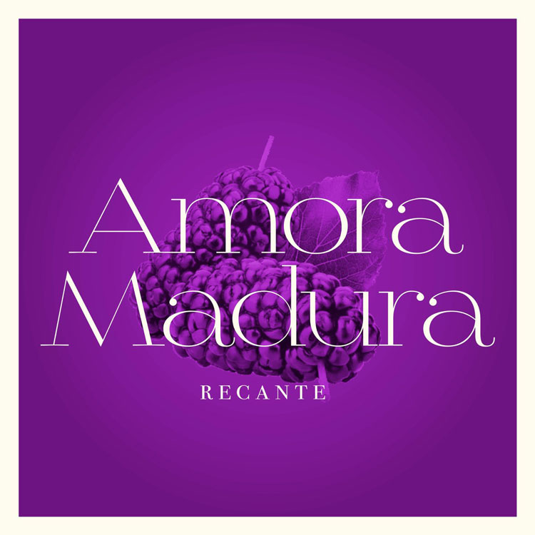 Recante- Amora Madura single cover. A purple background and two items that look like blackberries.