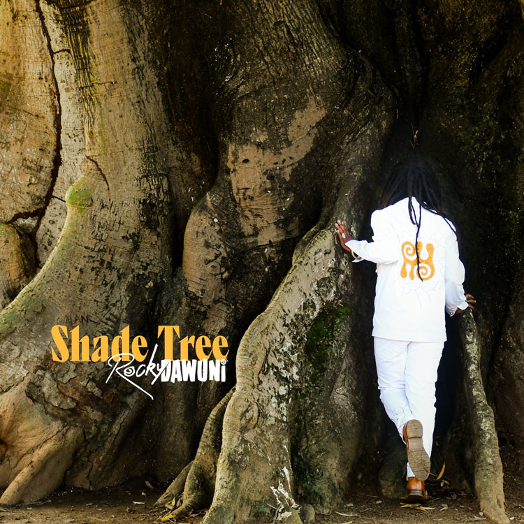 Rocky Dawuni - Shade Tree single cover