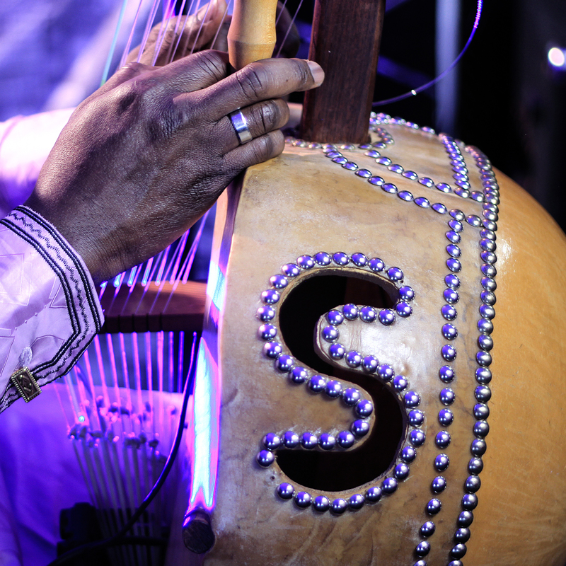 Sefo Kanuteh - Adouna cover artwork. A closeup of the artist's hands playing the kora.