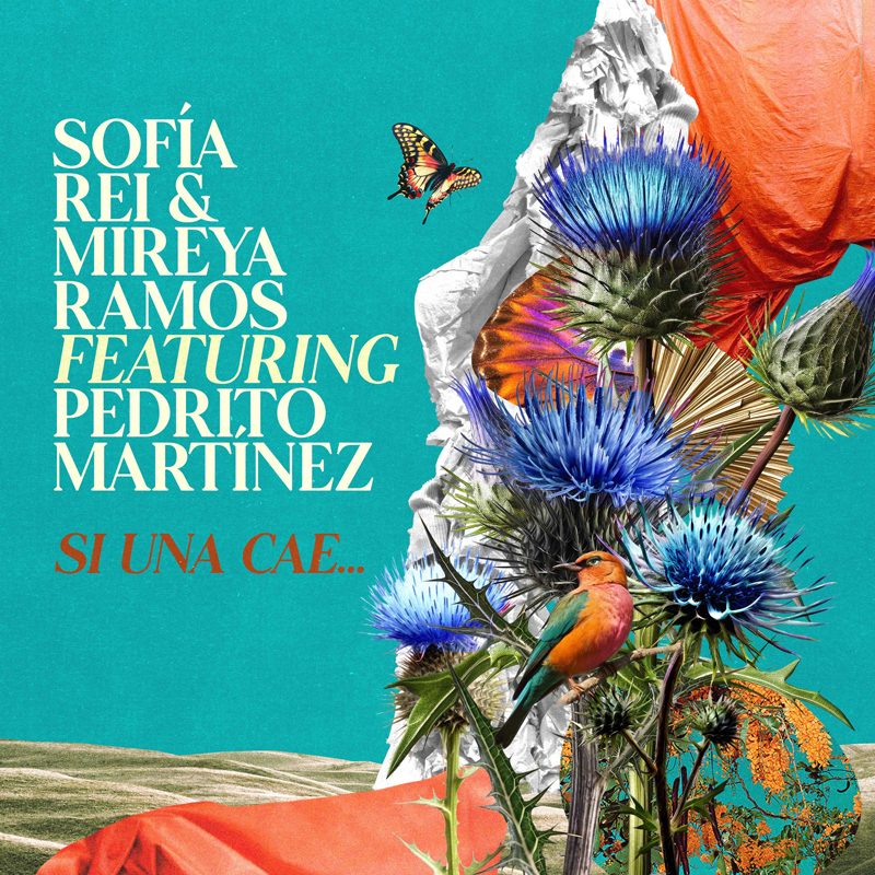 A colorful collage-style cover set against a turquoise background. On the right, layered elements include blue thistle flowers, a butterfly, a small bird perched among stems, folded fan shapes, and draped fabric in white and orange.