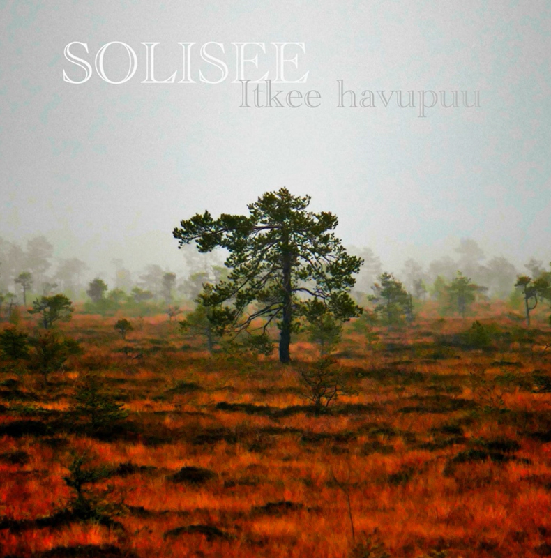 The cover features a lone pine tree standing in a misty marshland, surrounded by autumn-hued grasses in deep orange and red tones. Faint silhouettes of more trees fade into the foggy background. The title text reads “SOLISEE” in large white letters above the smaller subtitle “Itkee havupuu.”