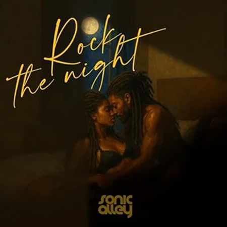 Sonic Alley Rock the Night cover artwork. A photo of a black man and woman in an amorous position.