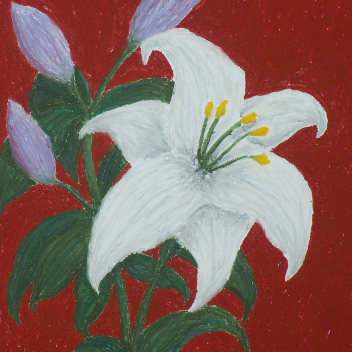 Spirited Follower - Returning cover artwork. An illustration of white flower.